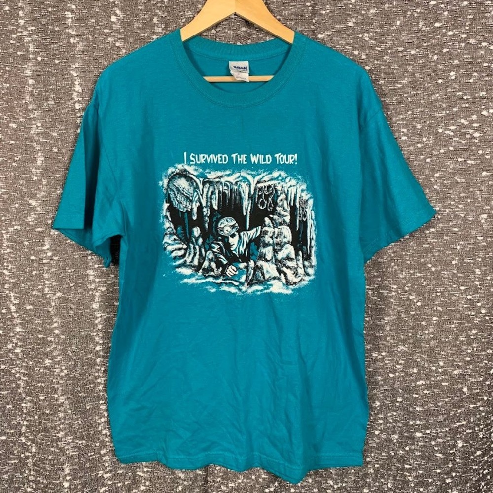 Gildan I Survived The Wild Tour Graphic T-Shirt Teal Cave Spelunking Size Large